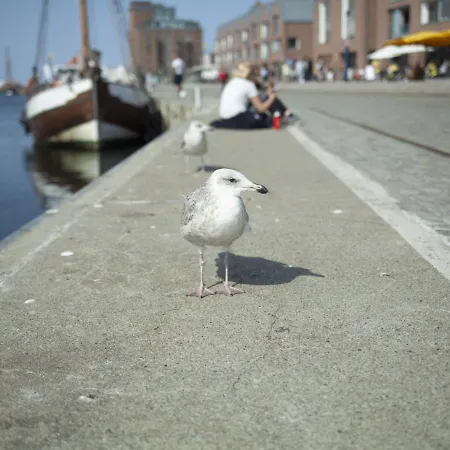 Gemuetlicher Mit Garten Und Whirlpool In *