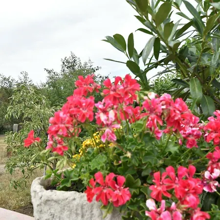 Gemuetlicher Mit Garten Und Whirlpool In Nakenstorf