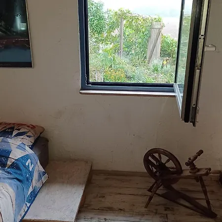 Cozy In With Garden