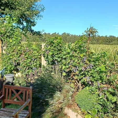 Cozy In With Garden